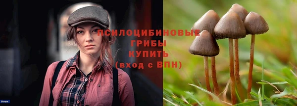 соль курить ск Верхний Тагил