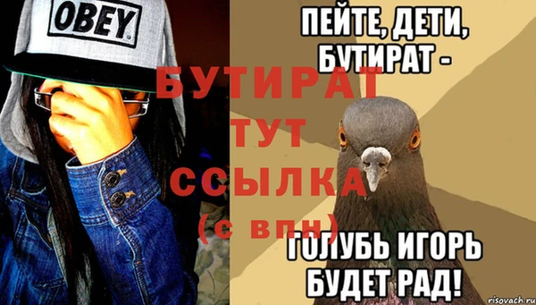 МДПВ Бородино
