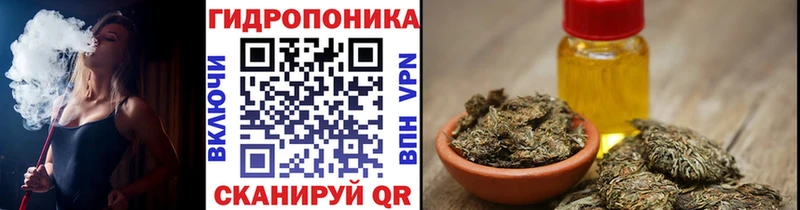 Шишки марихуана OG Kush Нестеров